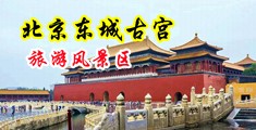 操死我这个骚货,用力操视频中国北京-东城古宫旅游风景区